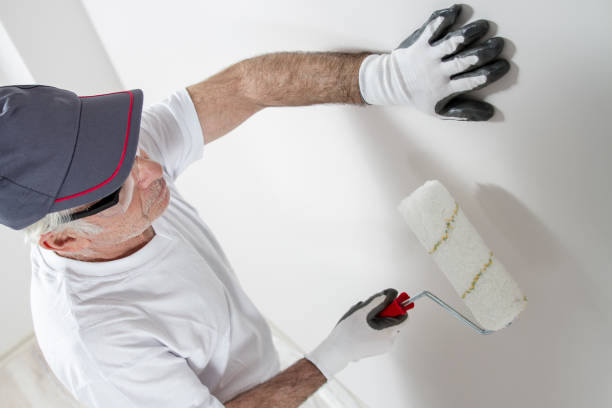 Best Basement Mold Removal  in Wildewood, MD