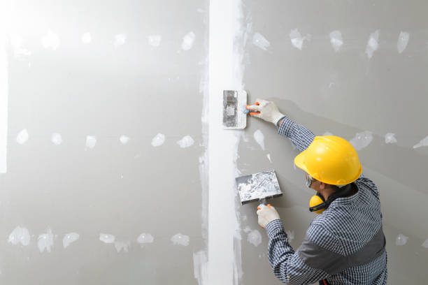 Best Emergency Mold Remediation  in Wildewood, MD
