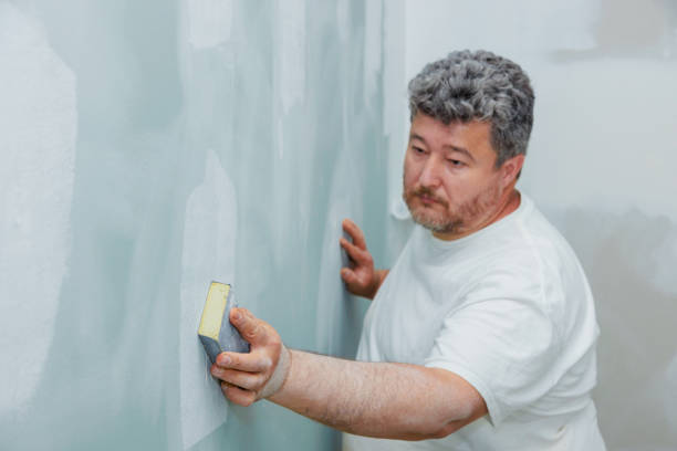 Best Attic Mold Removal  in Wildewood, MD