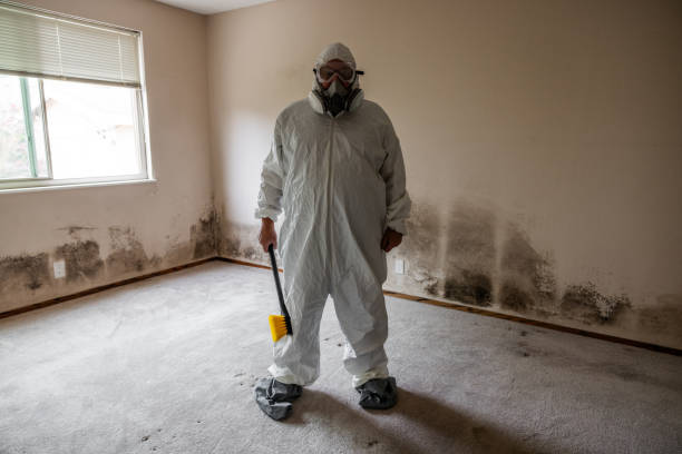 Best Asbestos and Lead Testing During Mold Inspection  in Wildewood, MD