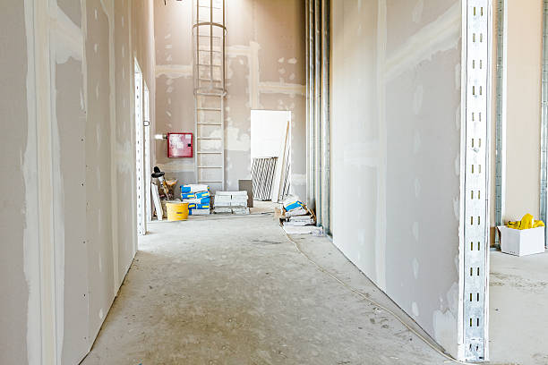 Professional Mold Removal in Wildewood, MD